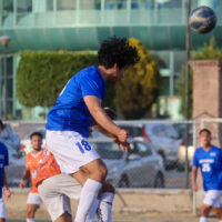 Halcones dieron cuenta fácilmente de Borregos Puebla