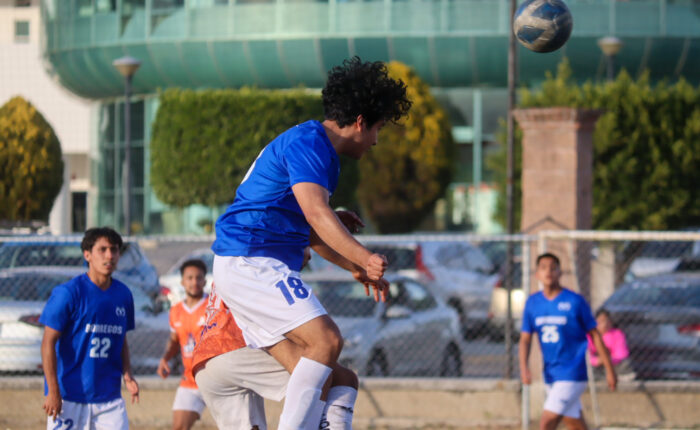 Halcones dieron cuenta fácilmente de Borregos Puebla