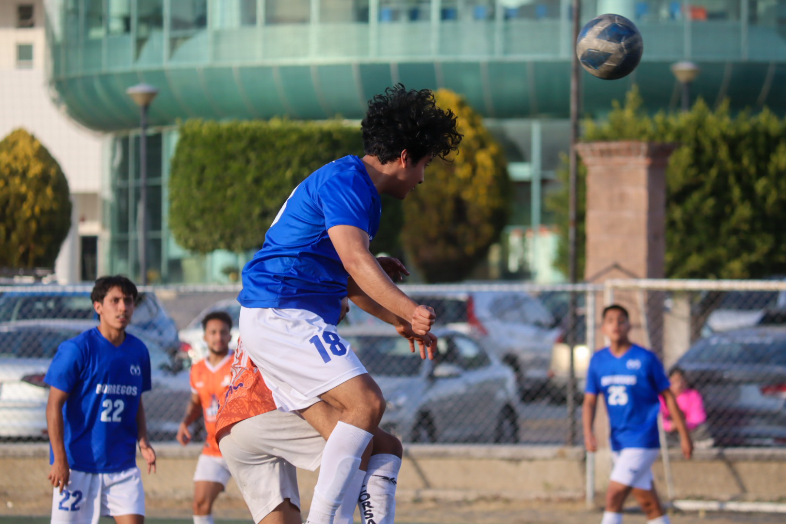 Halcones dieron cuenta fácilmente de Borregos Puebla
