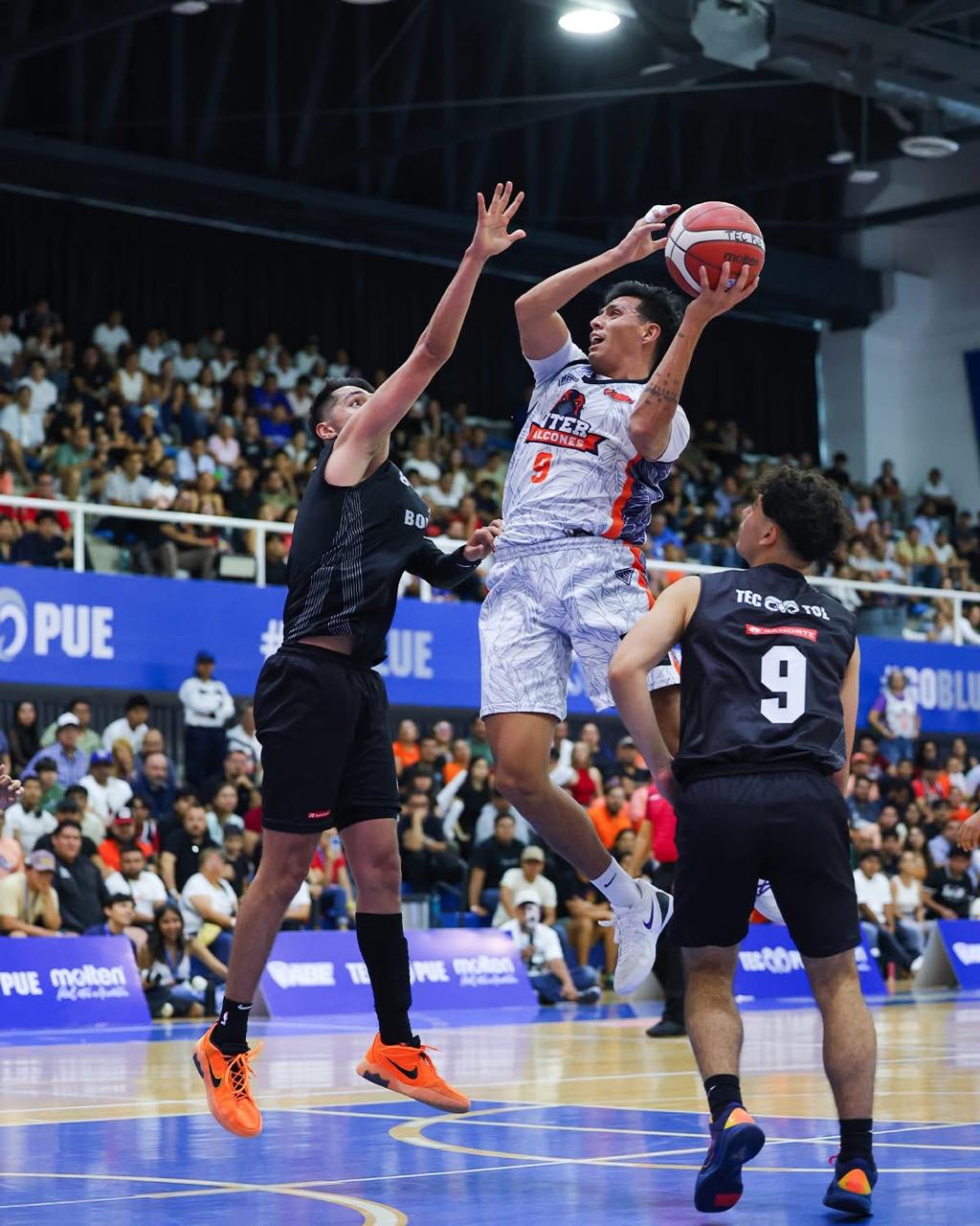 Los Halcones intentaron volar alto