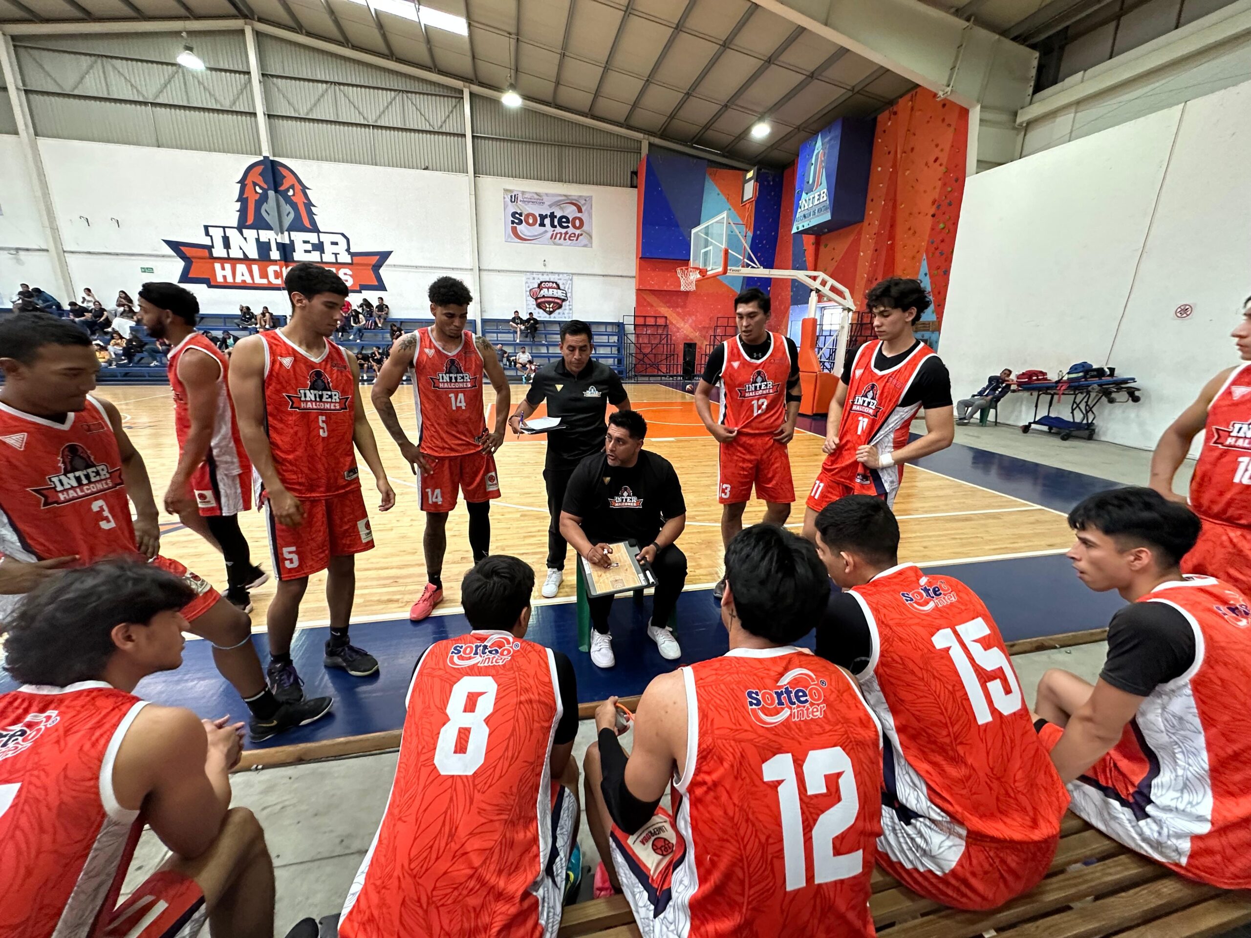 Halcones quieren hacer historia