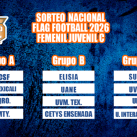 Así quedaron conformados los grupos