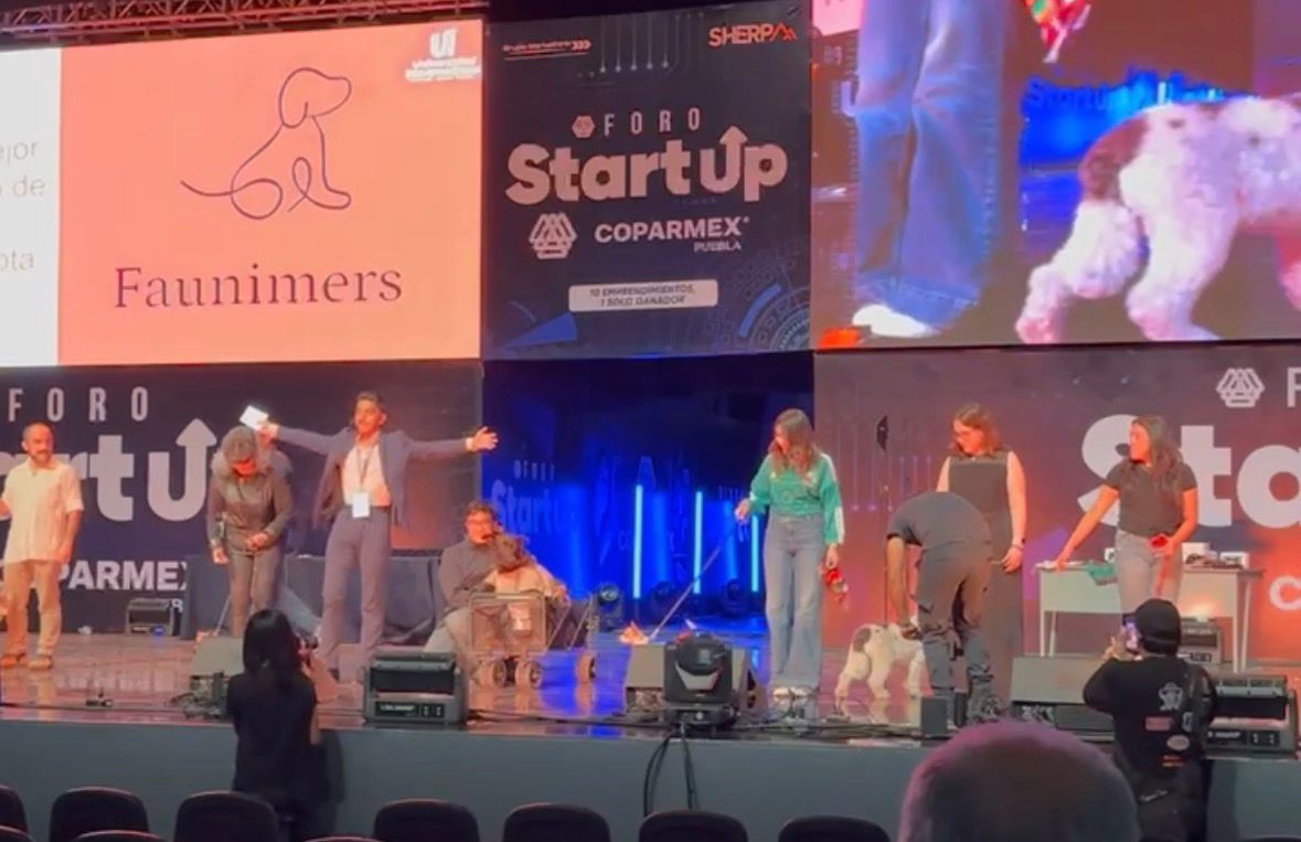 Faunimers se presentó en el Start Up