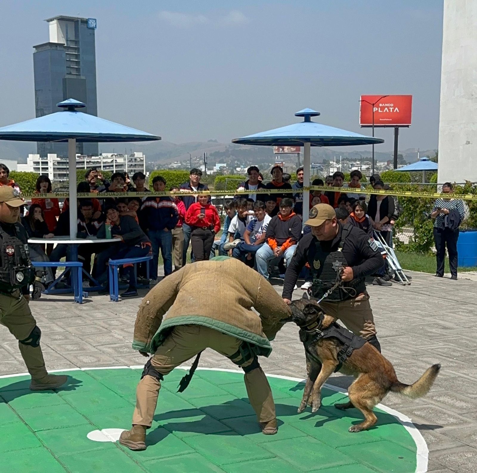 La Unidad Canina K9 de San Andrés Cholula, ofreció una demostración a Prepa Inter